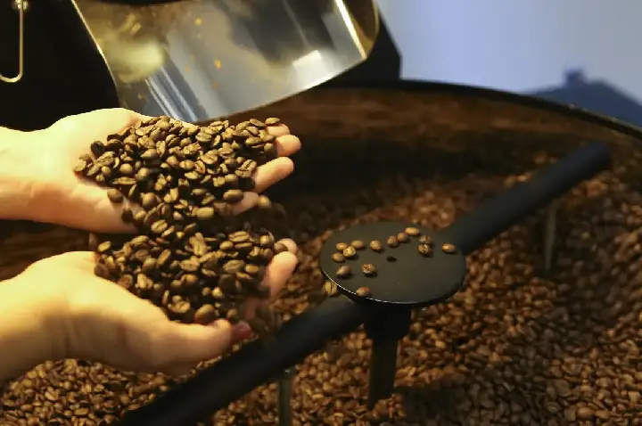 Exportação de café do Brasil cai em 2025, mas bate recorde em receita