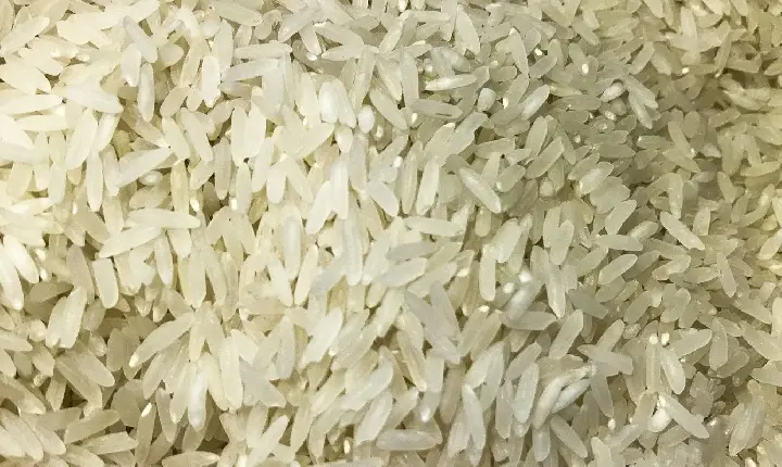 Terremoto: Brasil doará 10 toneladas de arroz à Colômbia