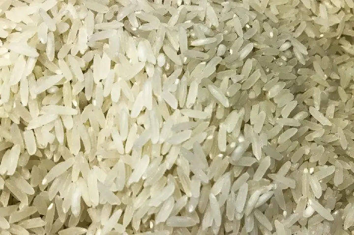 Terremoto: Brasil doará 10 toneladas de arroz à Colômbia