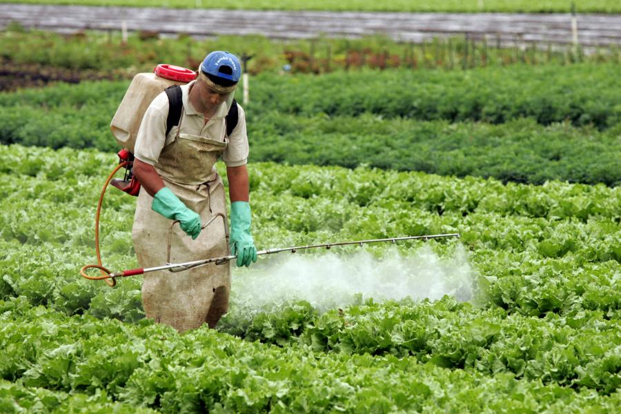 Em 10 anos, agrotóxicos já causaram 26 mil casos de intoxicação de pessoas no Brasil