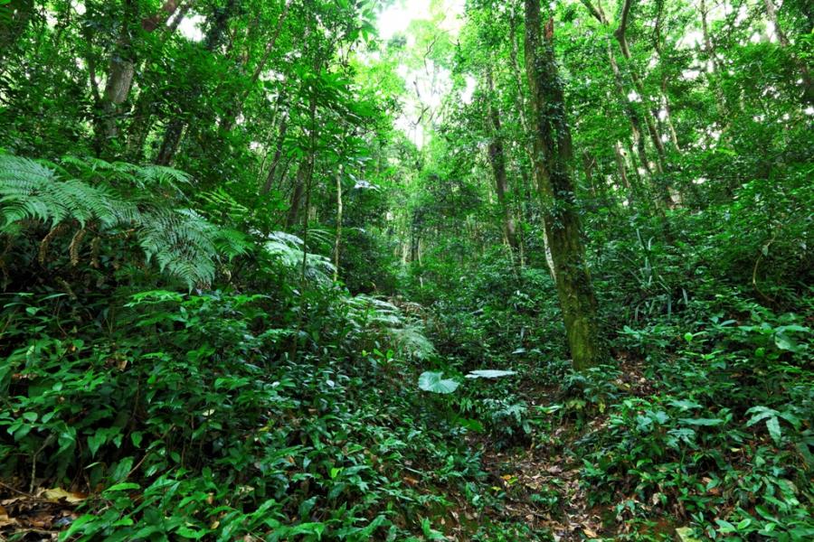 Falta de investimento em gestão ambiental impede injeção de bilhões de reais na economia