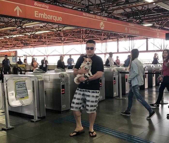Publicitário reivindica aprovação de lei para transitar com animais de estimação no transporte