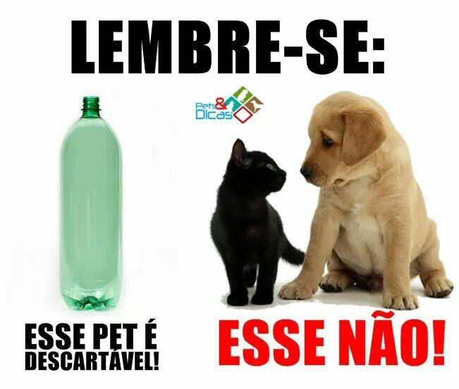 Animais são seres vivos, não os maltrate!
