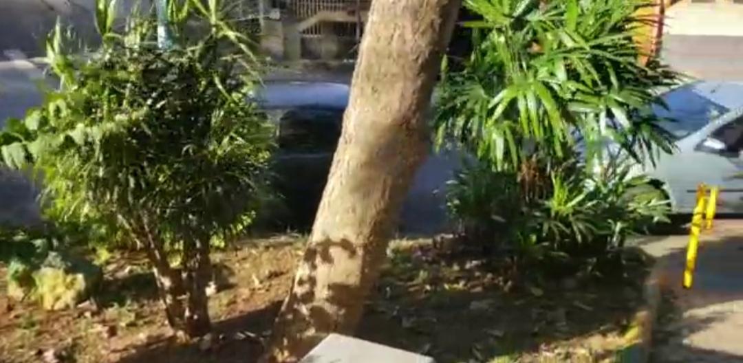 Praça Berthier Bento Alves é adotada