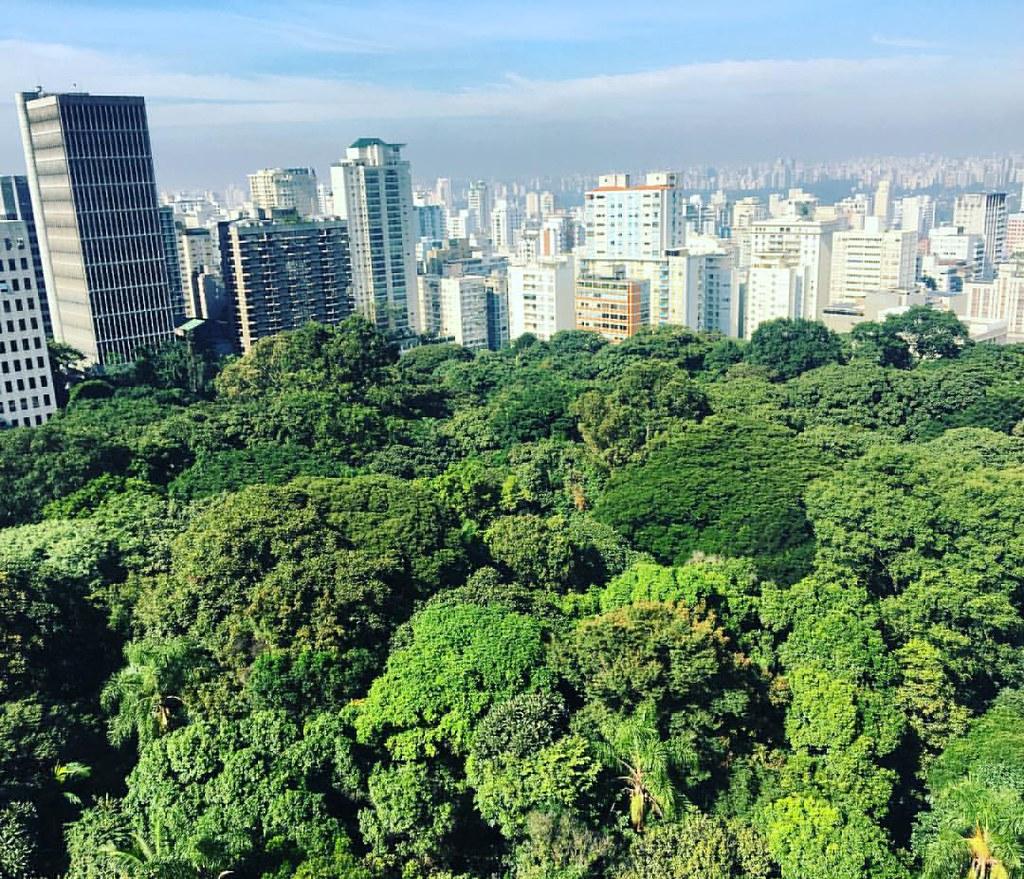 Parque Trianon inicia revitalização da Mata Atlântica