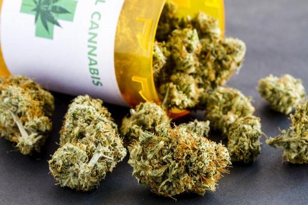 O uso medicinal do canabidiol e seu papel no tratamento de doenças