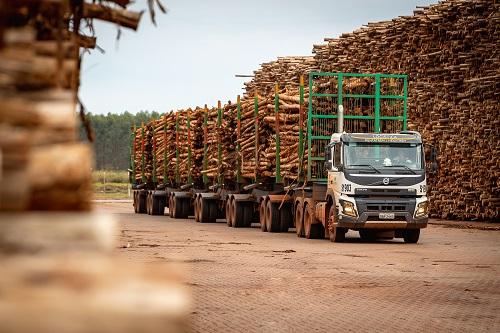Suzano ganha produtividade com composições Hexatrem para o transporte de toras de eucalipto