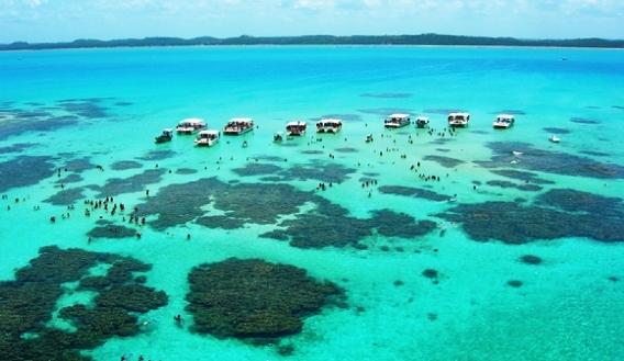Projeto Like Trip leva jangadas temáticas à Costa dos Corais