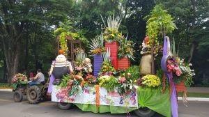 Carnaval de Holambra tem carros alegóricos com flores e distribuição de rosas e sorvetes