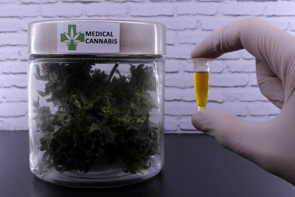 Comissão especial da Câmara discute com Anvisa regulamentação do cultivo de Cannabis