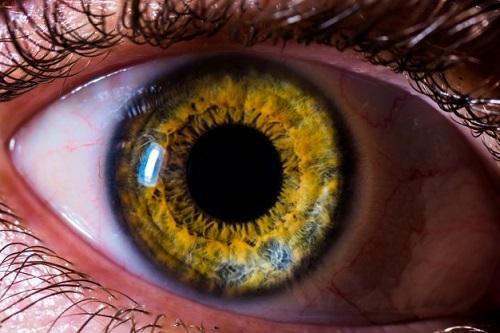 Outono deixa organismo mais vulnerável a doenças e alergias oculares