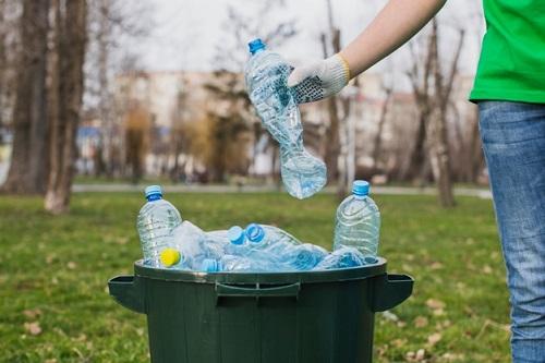Aumento de resíduos domésticos poder gerar proliferação de pragas urbanas