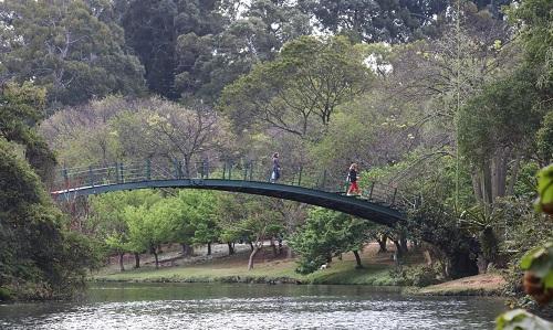 Parques da capital serão reabertos com medidas de restrição a partir da próxima segunda-feira (13/07)