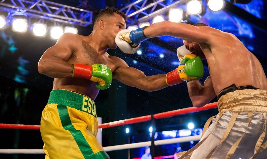 Evento em São Paulo marca volta de medalhistas olímpicos ao ringue