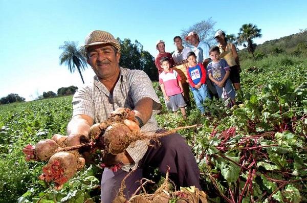 Agricultura familiar pode ser a chave para o sucesso do seu negócio