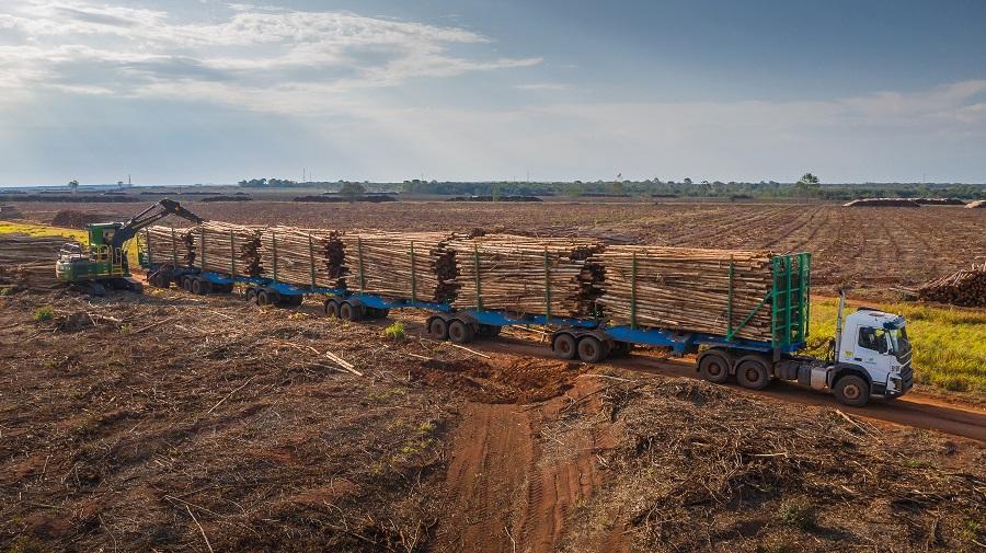 Volvo celebra os 10 anos do FMX, um caminhão para condições extremas