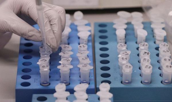 Covid-19: mortes batem recorde e Portugal pode ter ajuda internacional