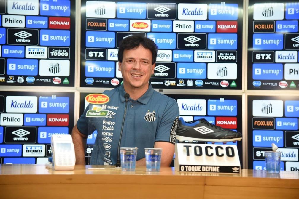 Diniz se apresenta no Santos e diz que não pedirá muitos reforços. 
