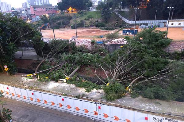 Metrô e Estado de SP derrubam 145 árvores no Jardim Têxtil