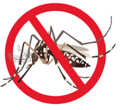 Falta de adesão da população às medidas de prevenção dificulta o combate à dengue na capital
