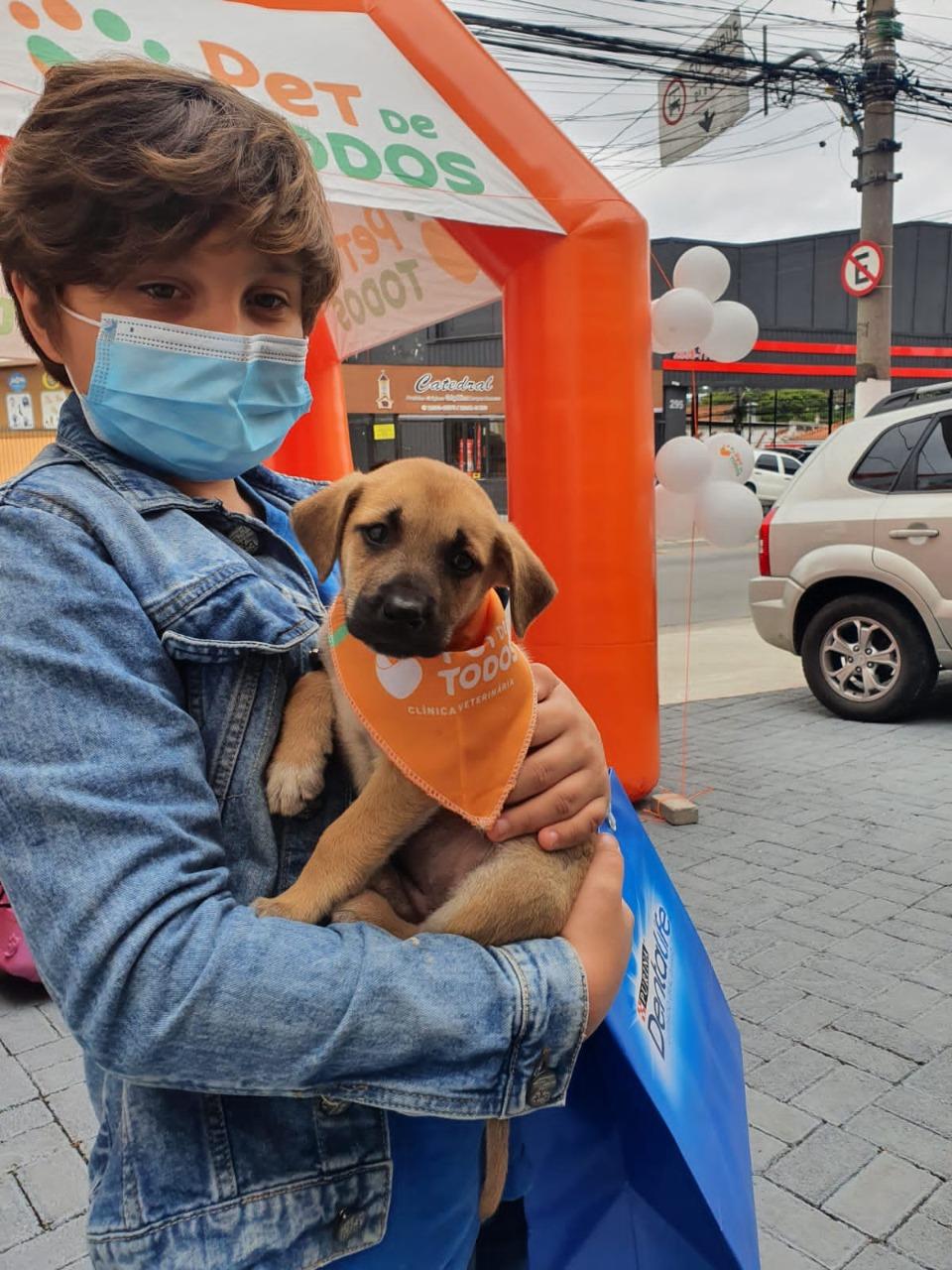 Rede de clínicas veterinárias dá início à agenda de Feiras de Adoção