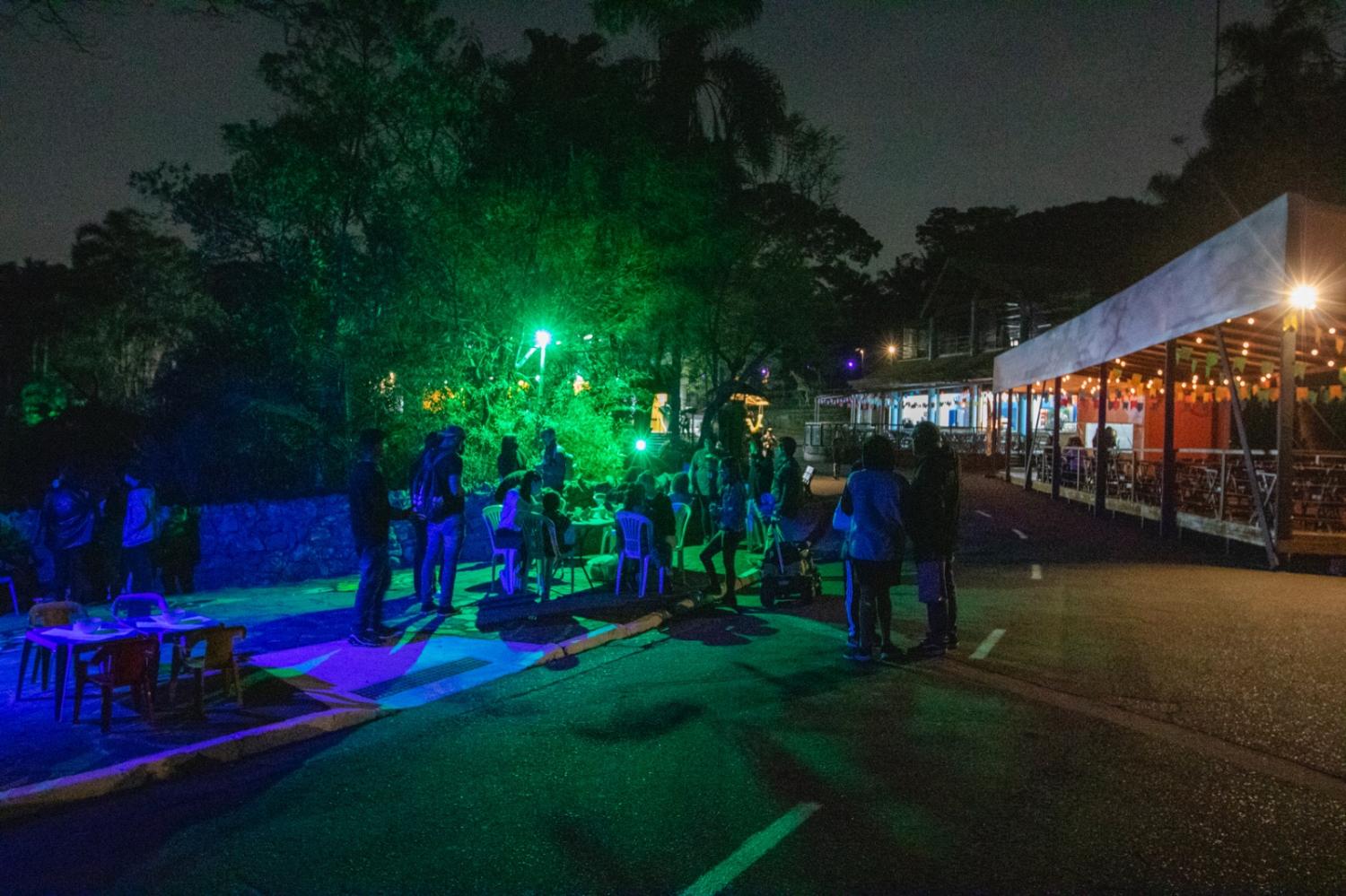 Noite Animal tem família de leões e outras atrações no Zoológico de São Paulo