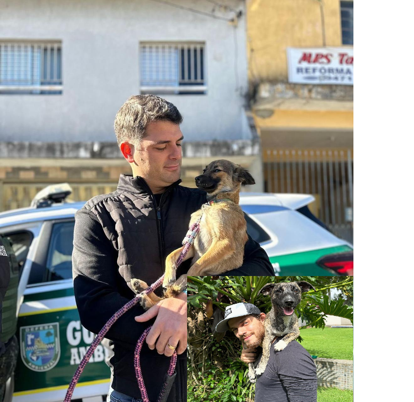 Gabriel Abreu e Felipe Becari Realizam Resgates Animais de Grande Impacto em São Paulo