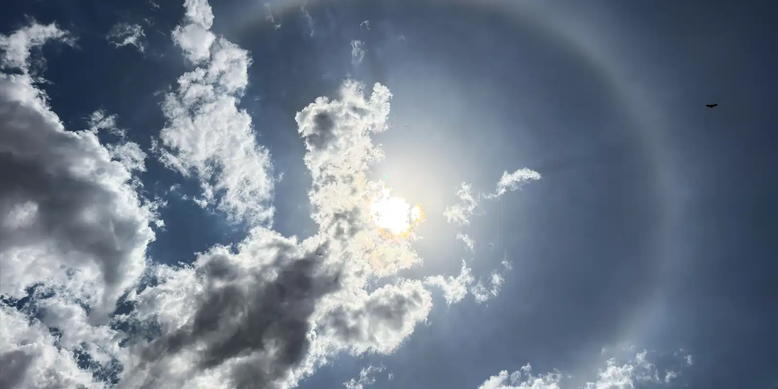 Beleza nos céus, halo solar não é sinal de chuva, diz especialista